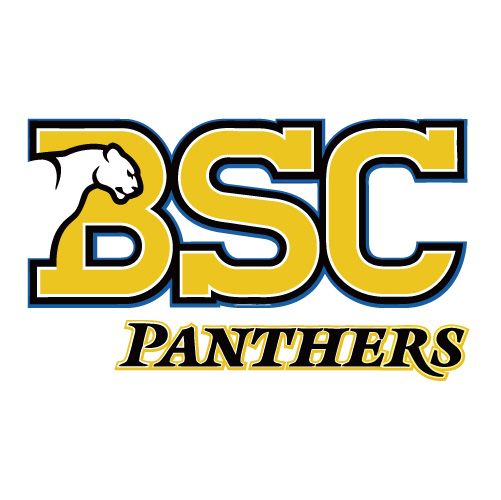 Birmingham Southern Panthers T-shirts Iron On Transfers N4007